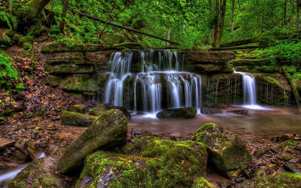 Big Branch Waterfall, West Virginia