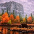 ✫Misty Yosemite in Fall✫