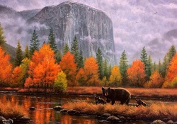✫Misty Yosemite in Fall✫