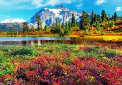 Fall Colors At Mount Shuksan