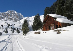 mountainside old barn in winter