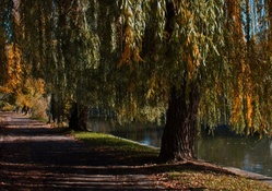 lakeside road in autumn