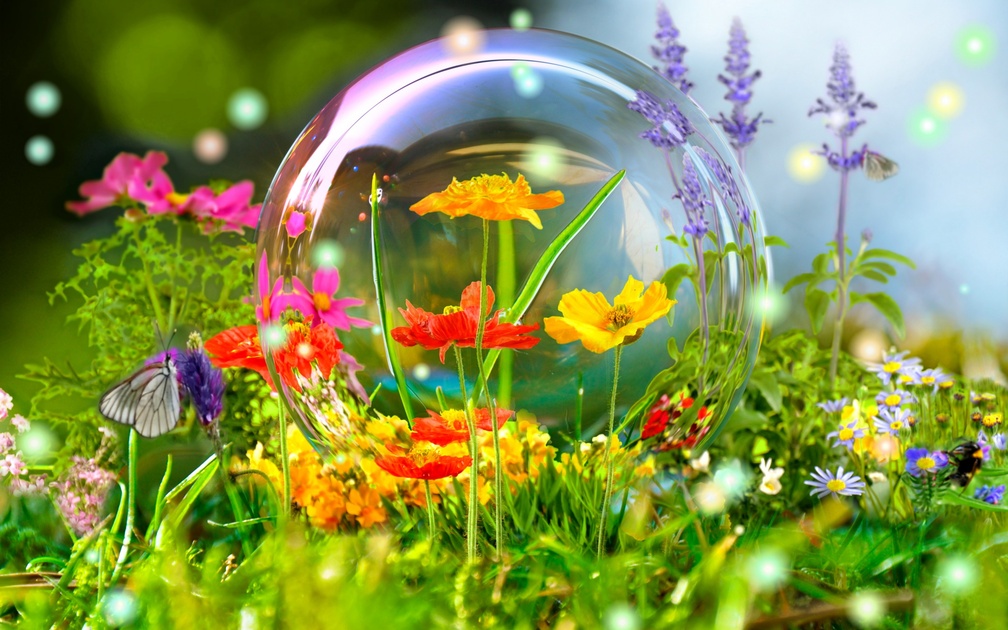 Fowers and a bubble