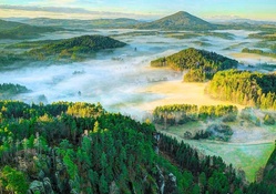 Morning Fog On The Bohemian Forest