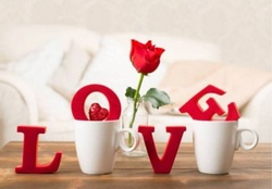 love,cup,table,rose