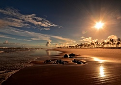 Sunset on Costa do Sauipe Beach, Bahia, Brazil