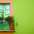 Green Wall with Window