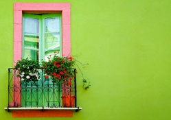 Green Wall with Window