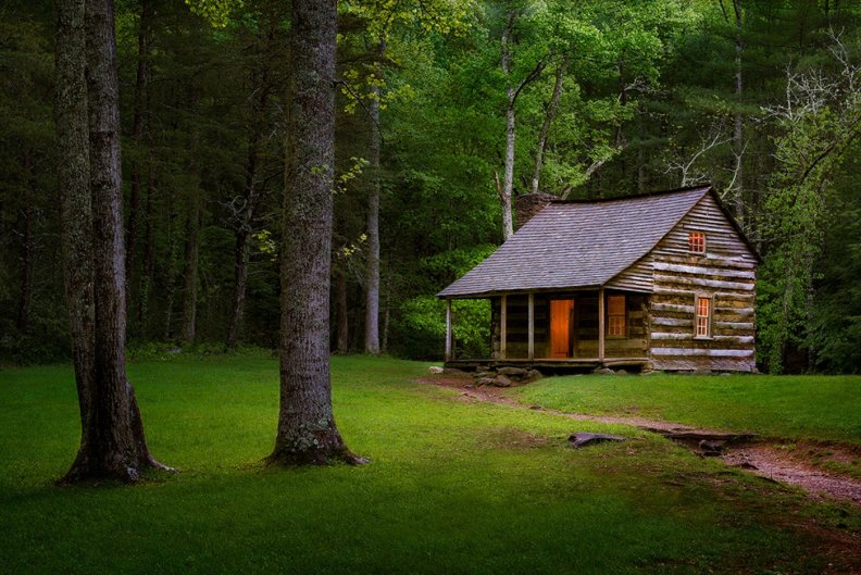 Forest Cabin, Smoky Mountains