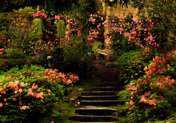 Enchanted garden