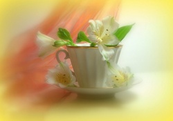 Cup of Lily For Dreamer_girl (Luiza)