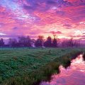 Purple Sky At Sunrise