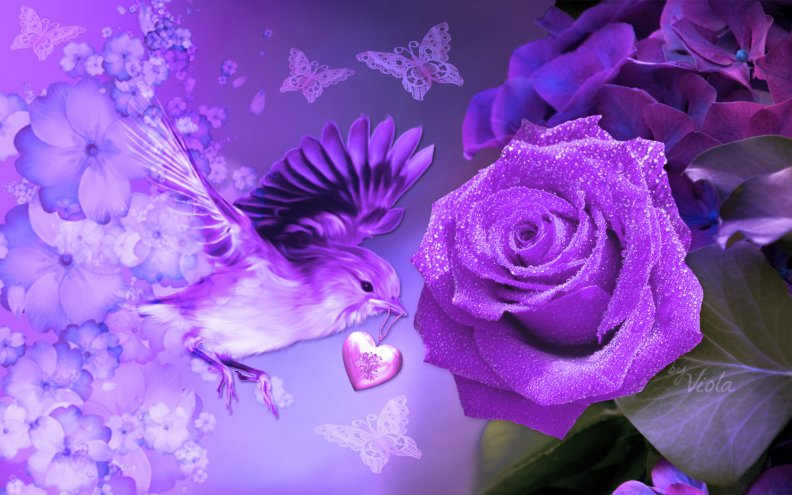 Purple Rose and Bird