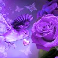 Purple Rose and Bird