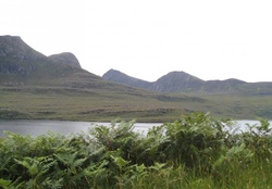 A Loch, some hills, and vibrant plants