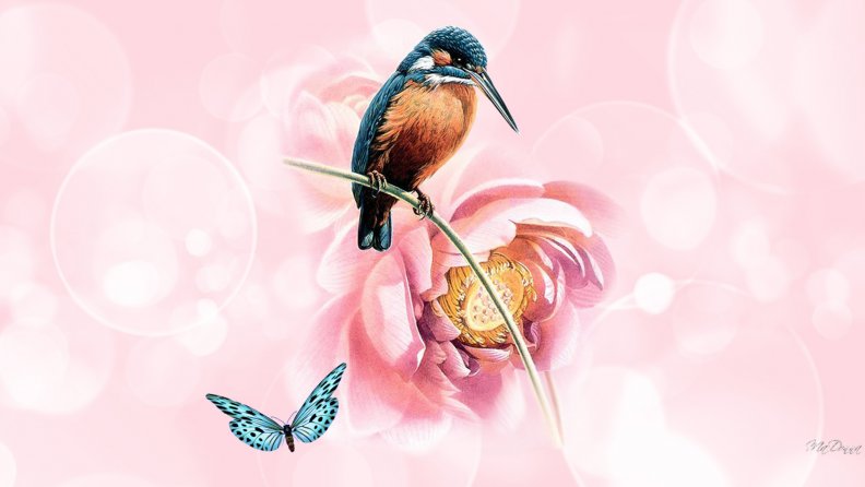 hummingbird_peonies_pink.jpg