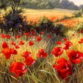 Bright Red Poppies F2