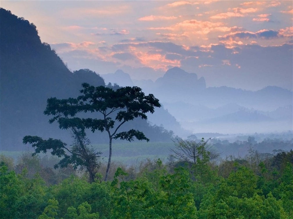 Misty Mountain _Asia_Thailand