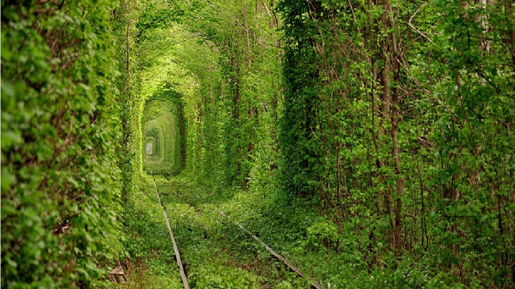 Tunnel of Love _ Ukraine