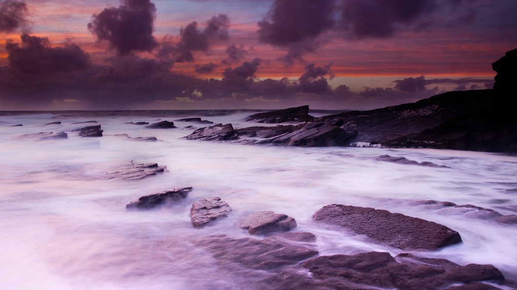 lavender colored rugged seashore in ireland