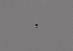Apple Scratch