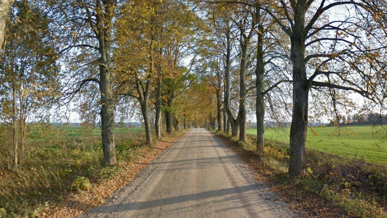 Road in Estonia