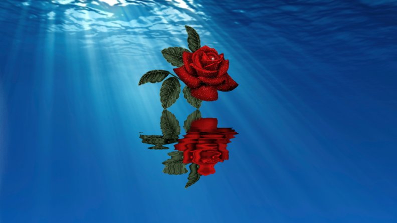 ~*~ Rose Over The Water ~*~