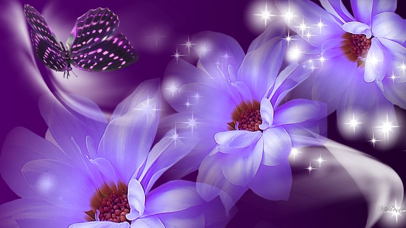 Lavender Floral Surprise