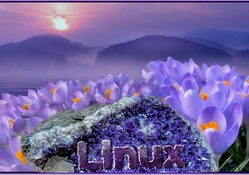 Linux_Crystall 1