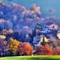 Autumn In Serralta, Italy