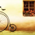 Bicycle Wallpaper