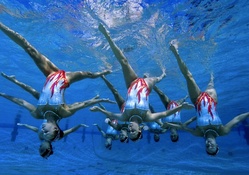 Syncronized Swimming