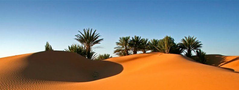 desert.jpg