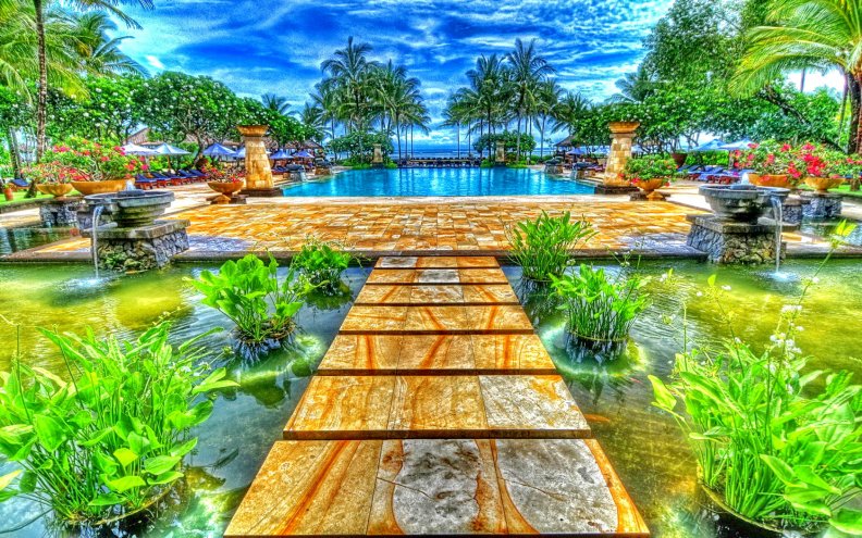 paradise_pool_nature.jpg