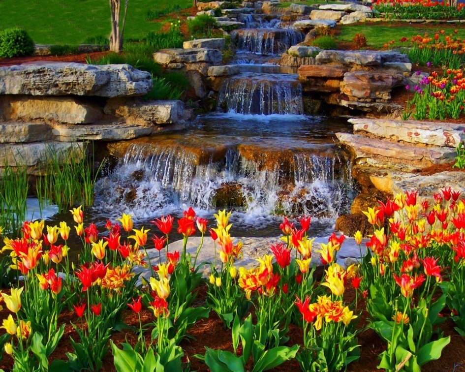 Waterfalls and Tulips