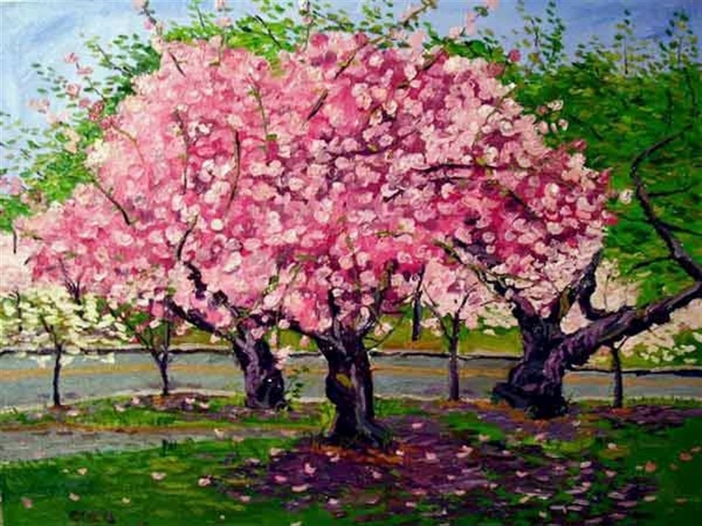 Beautiful Cherry tree Painting