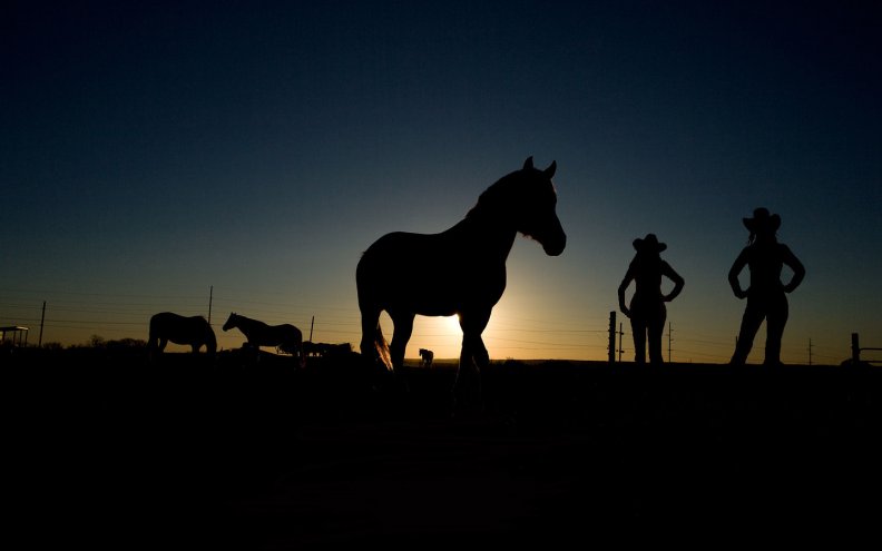 cowgirls_and_horses.jpg