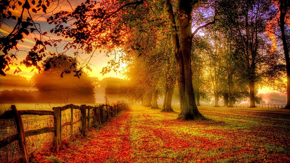 wondrous autumn landscape hdr