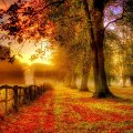 wondrous autumn landscape hdr