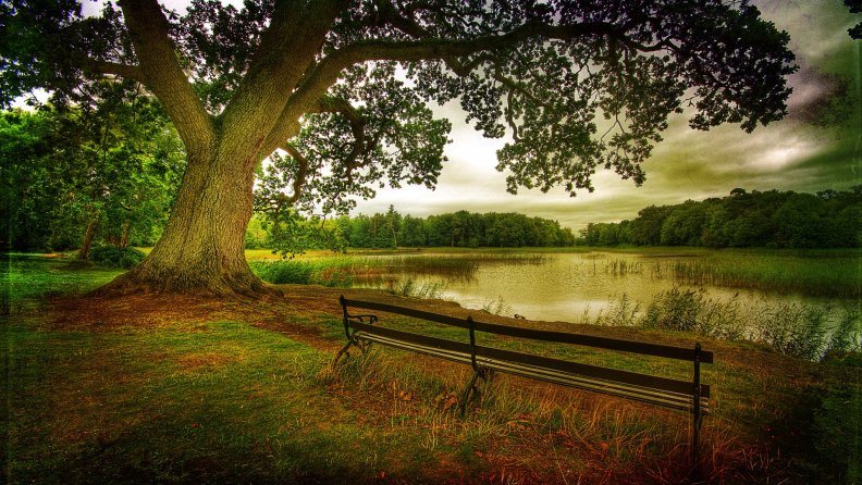 bench on a lakeshore hdr