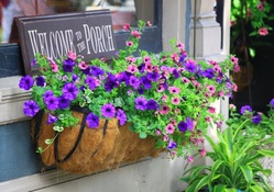 Porch Flowers