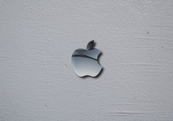 Apple Logo on Plaster