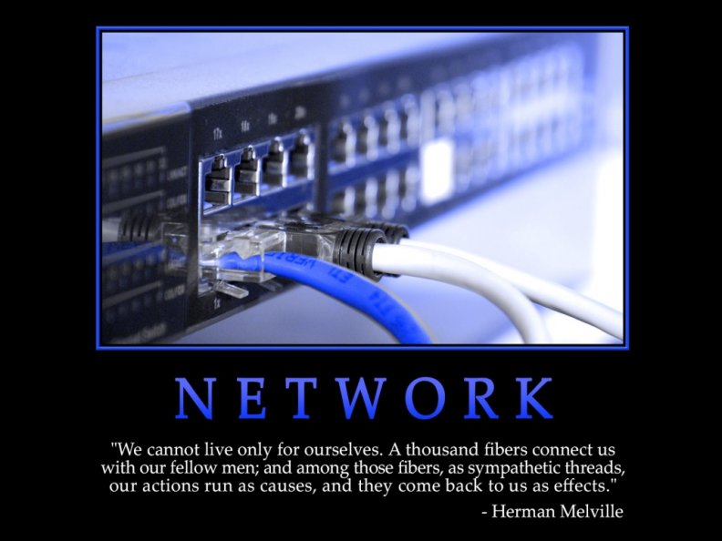 network.jpg