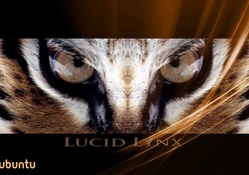Ubuntu Lucid Lynx Wallpaper