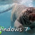 Underwater Windows7