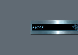 Razer Gaming Hardware user