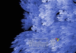 Windows XP _ Frozen