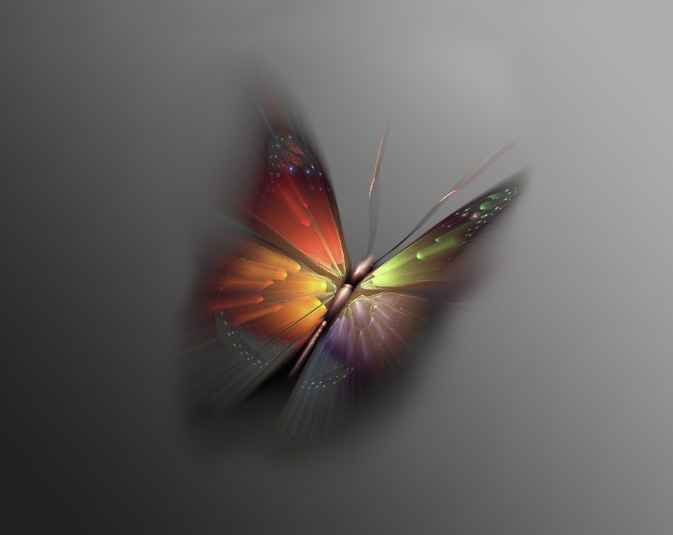 Mariprosa Butterfly