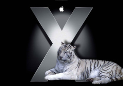 Apple OSX _ White Tiger