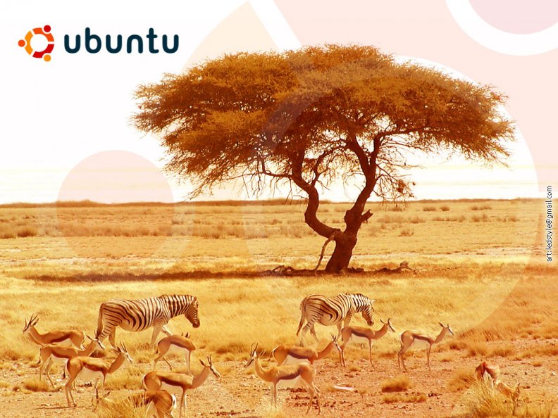 wild_ubuntu.jpg